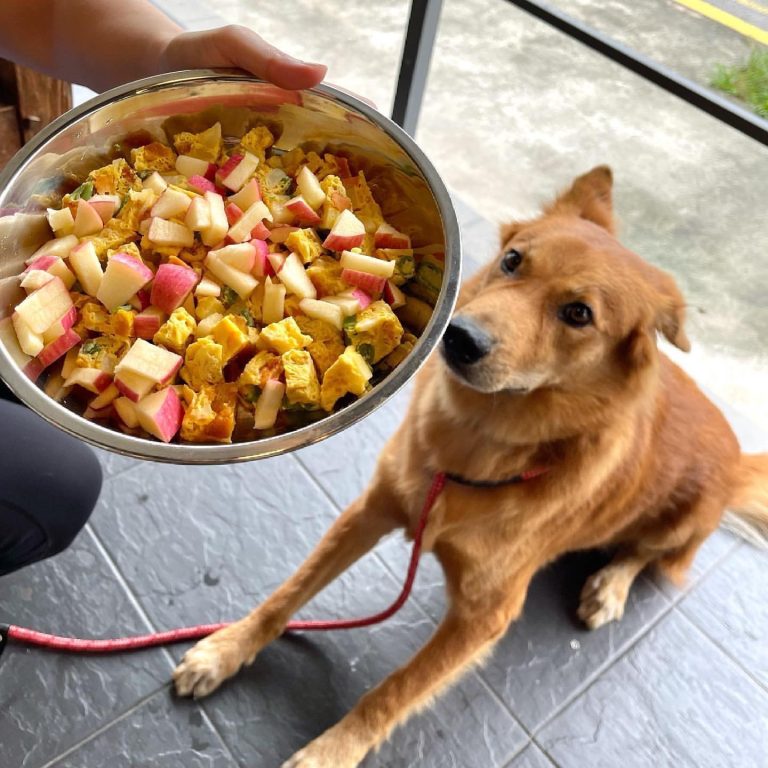 574506678 1405188764957615 6200370590346376564 n 768x768