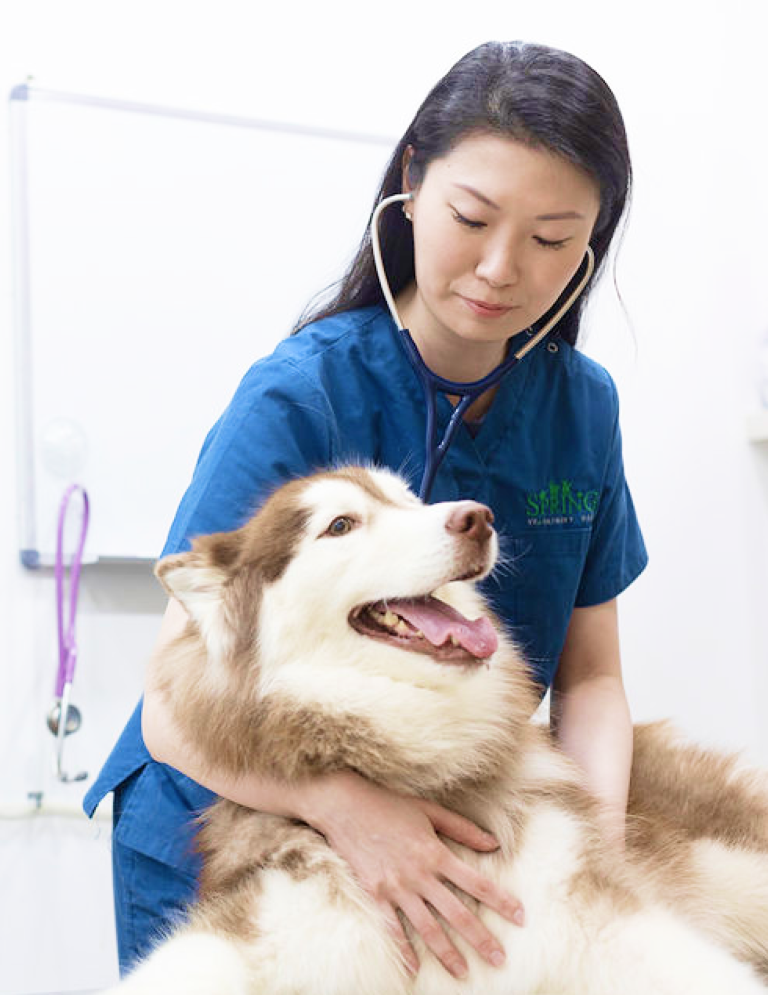 632b1394c19cf0850722912c Frame 679 768x995