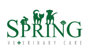 63350d4750fff4f66527a74f logo sv