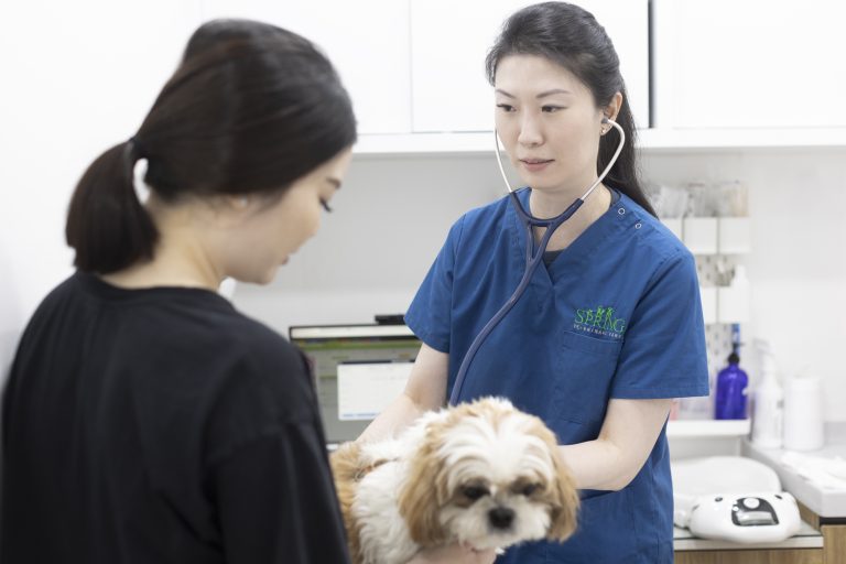 633588ae1f08ef13f03f7787 S351 768x512