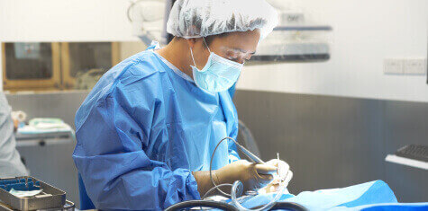 advanced img 04.bbfa89c