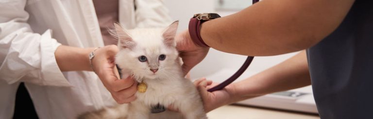 advanced services img 09.667089e 768x245