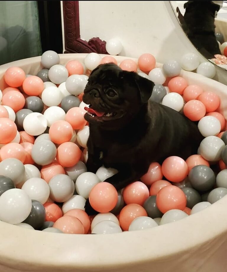 470217620 986821219951373 2703122112890953437 n 768x918